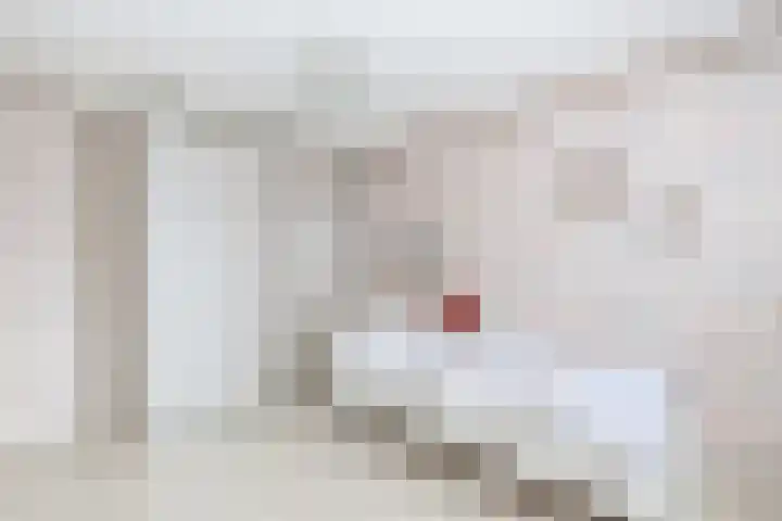 Hoogvlietlaan 53 Rockanje thumbnail 44