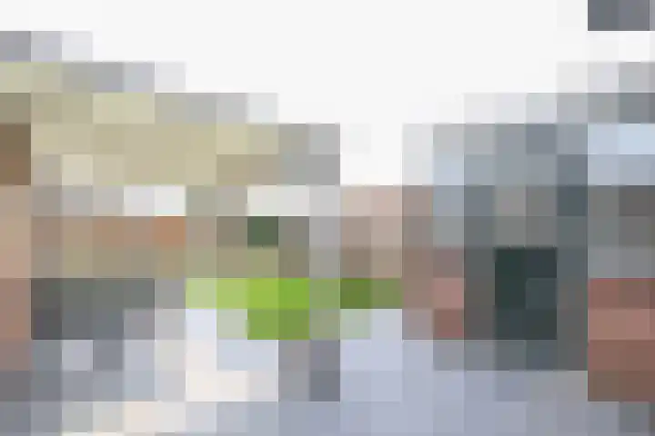 Hoogvlietlaan 53 Rockanje thumbnail 49
