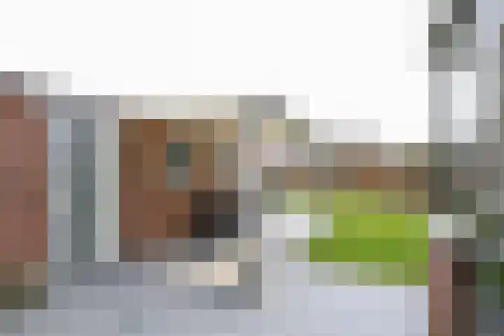 Hoogvlietlaan 53 Rockanje thumbnail 52