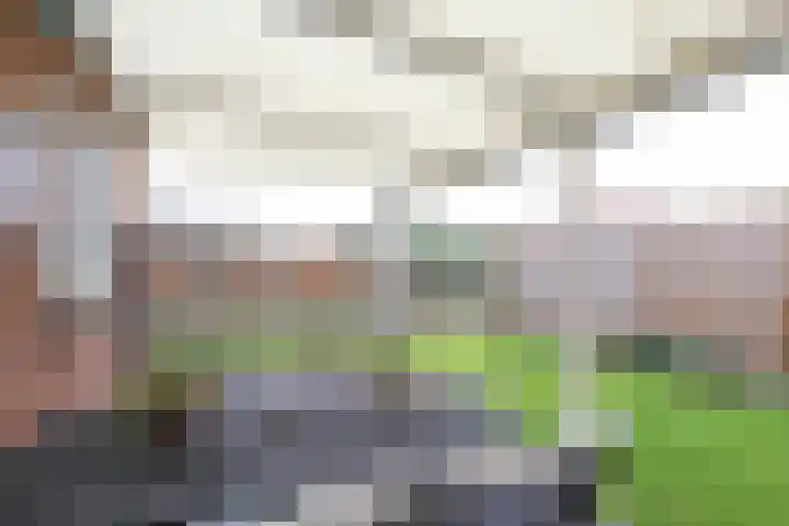 Hoogvlietlaan 53 Rockanje thumbnail 54