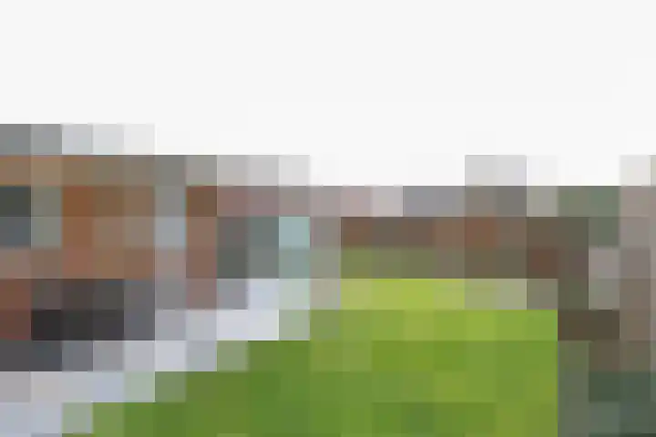 Hoogvlietlaan 53 Rockanje thumbnail 55
