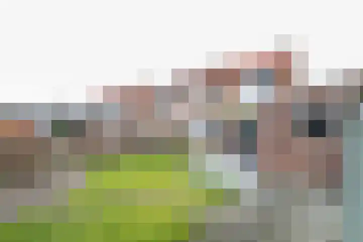 Hoogvlietlaan 53 Rockanje thumbnail 56