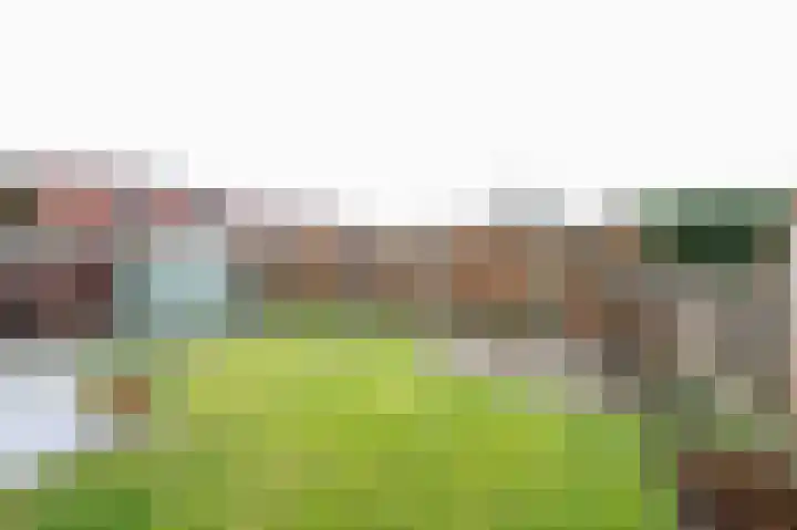 Hoogvlietlaan 53 Rockanje thumbnail 57