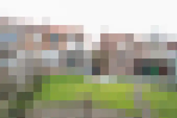 Hoogvlietlaan 53 Rockanje thumbnail 59