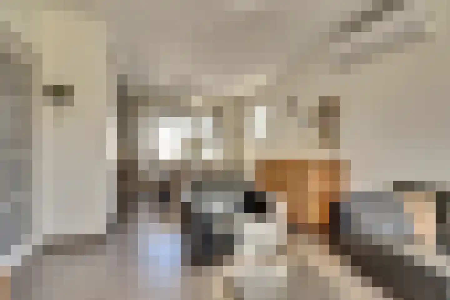 Hoogvlietlaan 56 Rockanje thumbnail 10