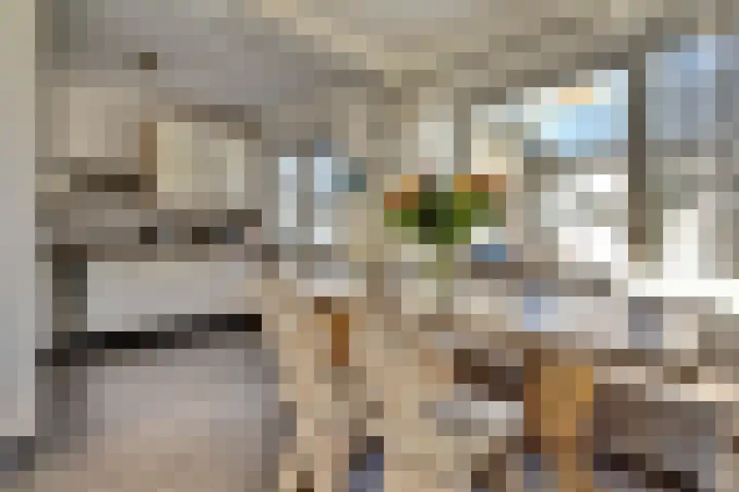 Hoogvlietlaan 56 Rockanje thumbnail 13