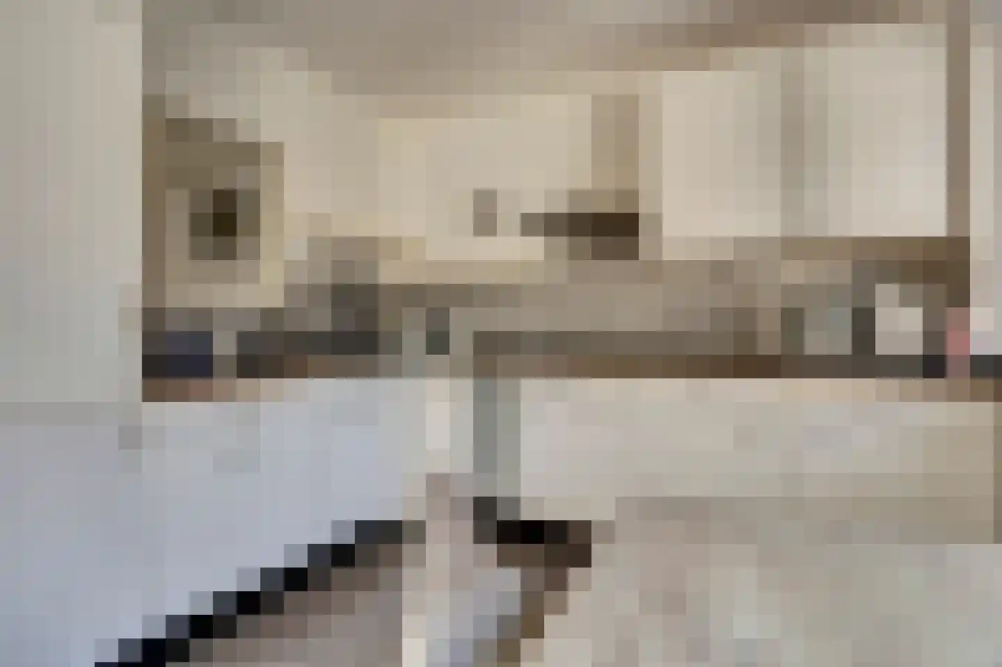 Hoogvlietlaan 56 Rockanje thumbnail 15