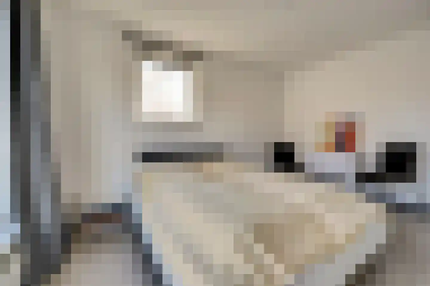 Hoogvlietlaan 56 Rockanje thumbnail 22