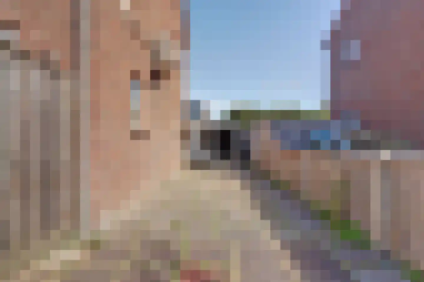 Hoogvlietlaan 56 Rockanje thumbnail 7