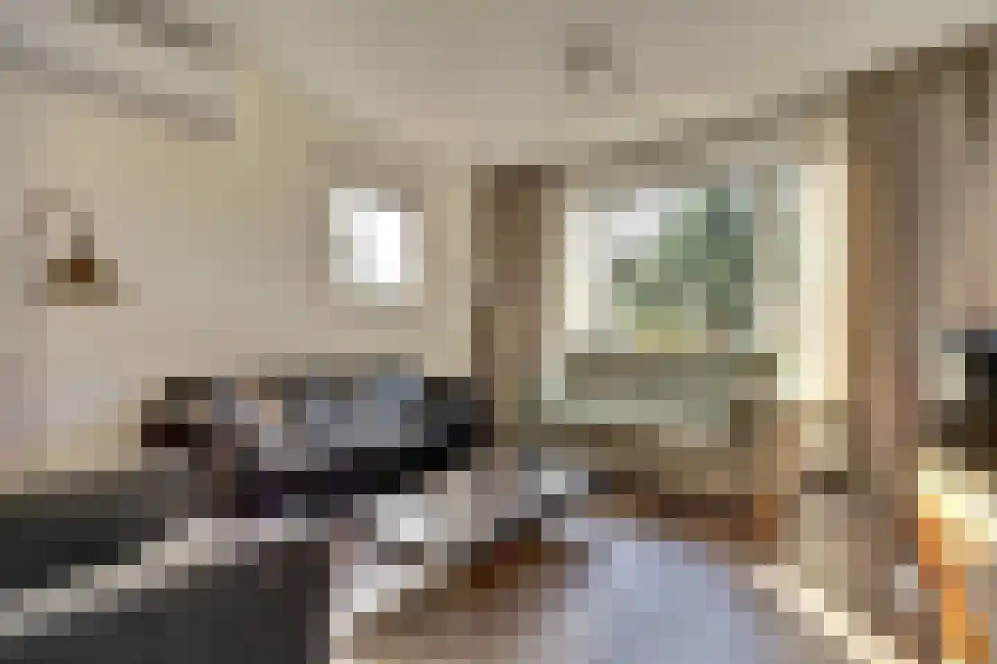 Hoogvlietlaan 56 Rockanje thumbnail 8