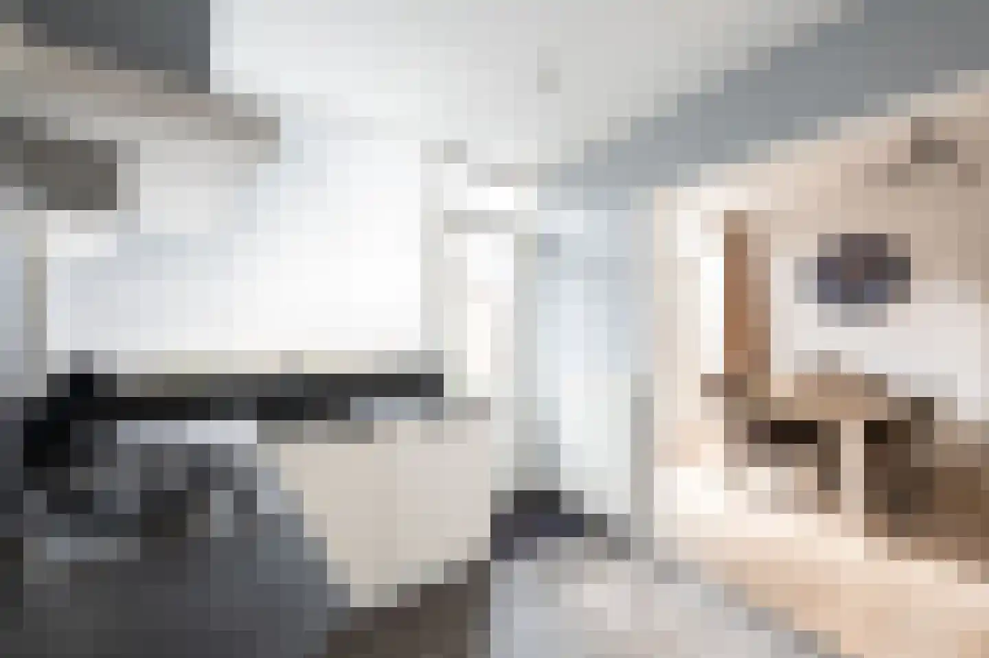 Hoogvlietlaan 75 Rockanje thumbnail 10