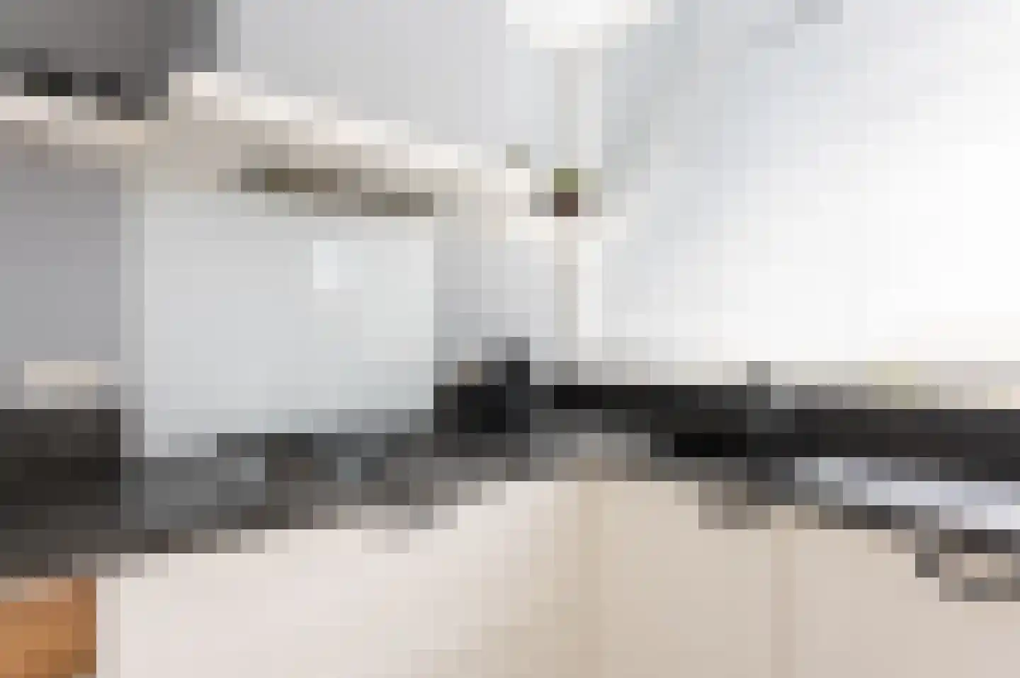 Hoogvlietlaan 75 Rockanje thumbnail 11