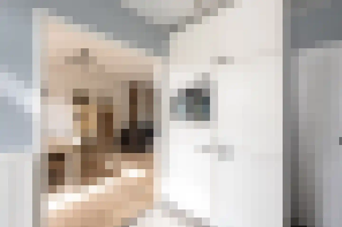 Hoogvlietlaan 75 Rockanje thumbnail 13