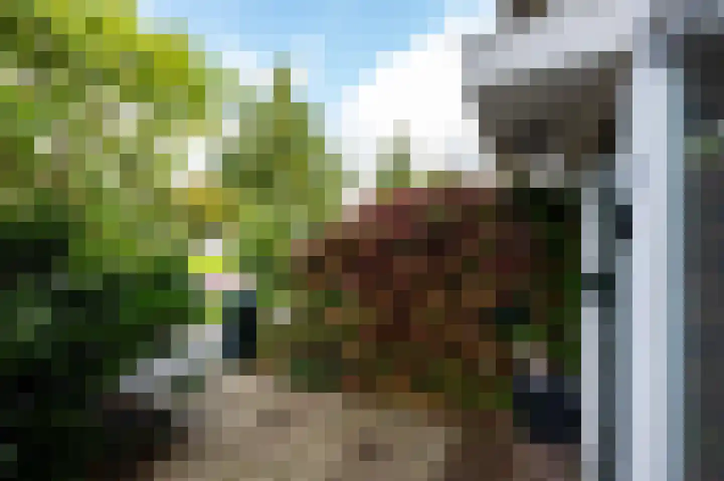 Hoogvlietlaan 75 Rockanje thumbnail 31