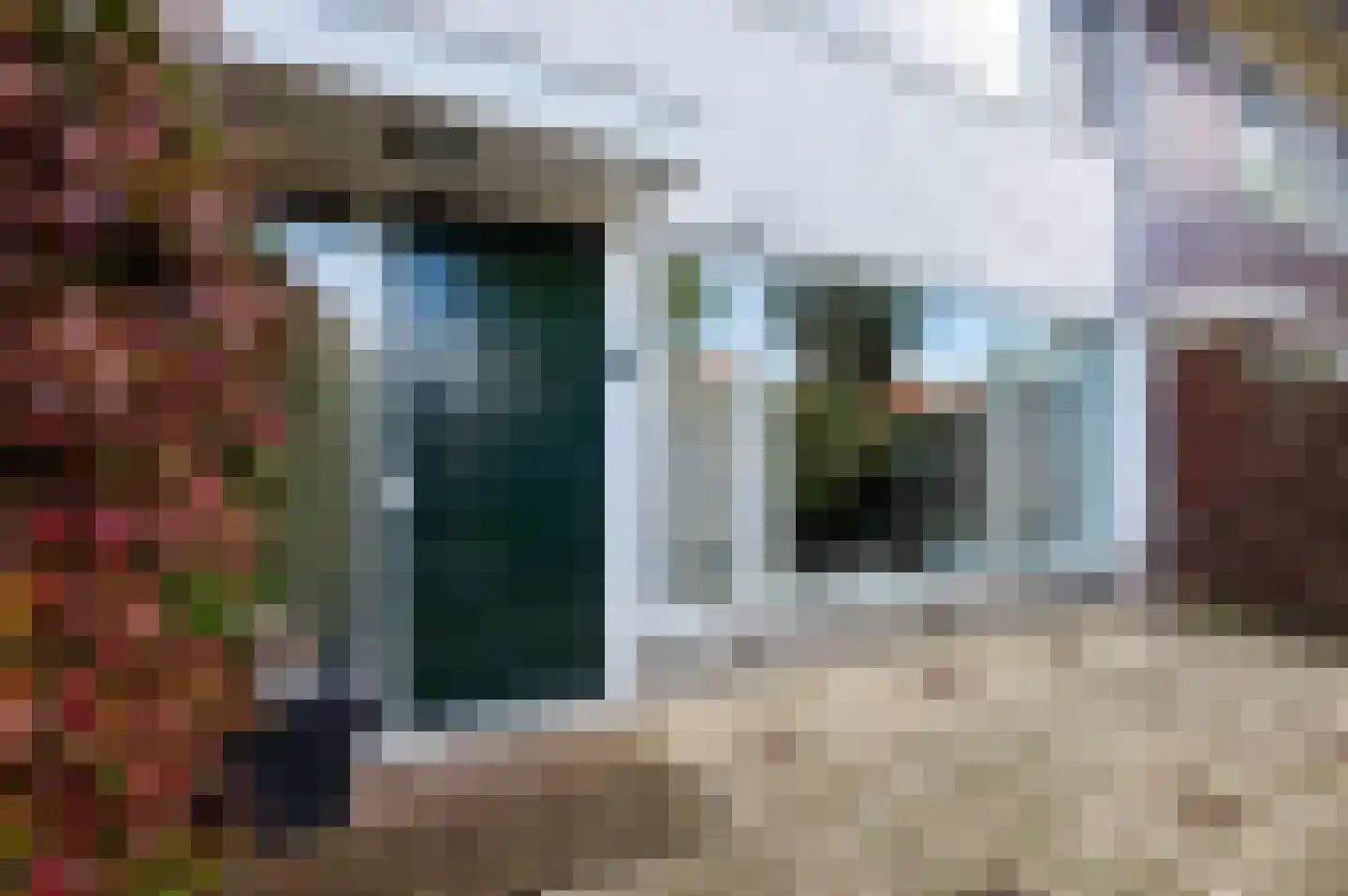 Hoogvlietlaan 75 Rockanje thumbnail 32