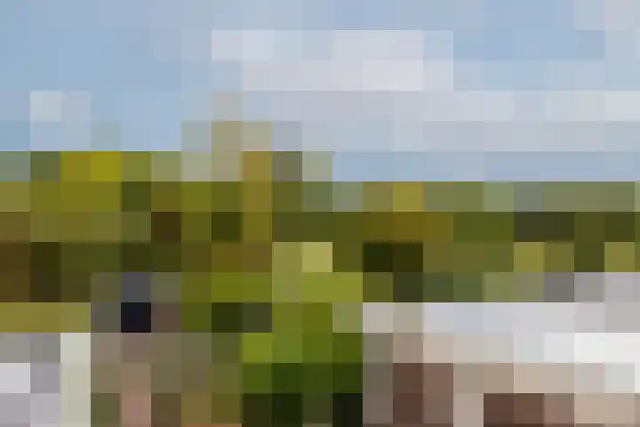 Hoogvlietsekerkweg 64 Hoogvliet Rotterdam thumbnail 29