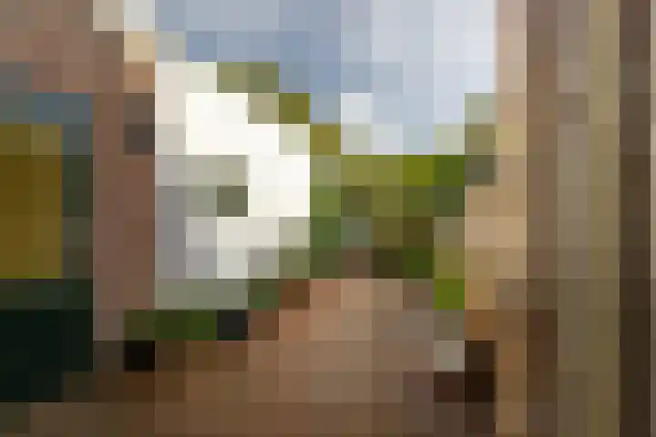 Hoogvlietsekerkweg 64 Hoogvliet Rotterdam thumbnail 30
