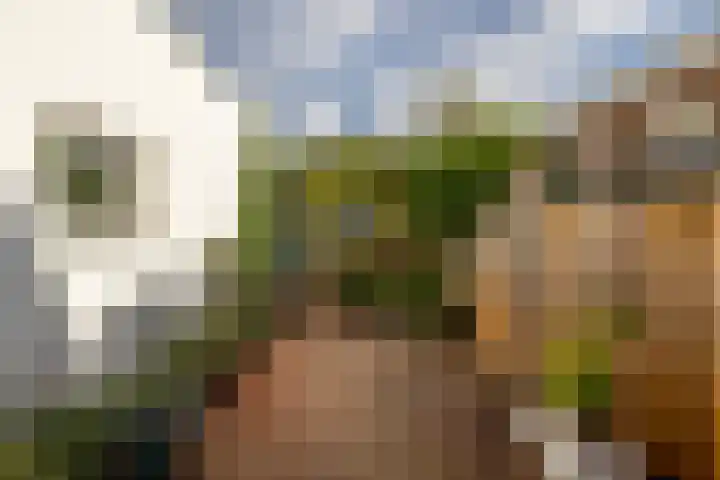 Hoogvlietsekerkweg 64 Hoogvliet Rotterdam thumbnail 31