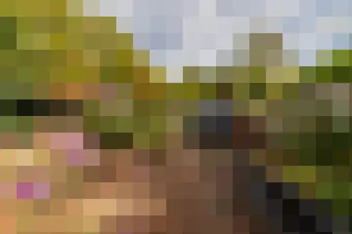 Hoogvlietsekerkweg 64 Hoogvliet Rotterdam thumbnail 33