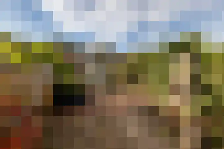 Hoogvlietsekerkweg 64 Hoogvliet Rotterdam thumbnail 35
