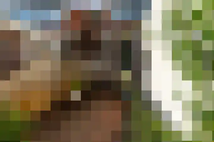 Hoogvlietsekerkweg 64 Hoogvliet Rotterdam thumbnail 37