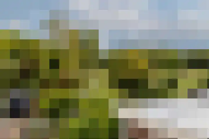 Hoogvlietsekerkweg 64 Hoogvliet Rotterdam thumbnail 4