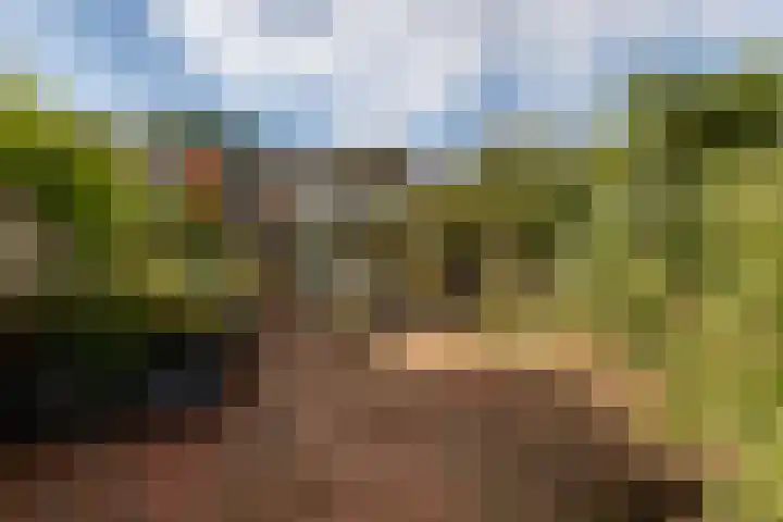 Hoogvlietsekerkweg 64 Hoogvliet Rotterdam thumbnail 5