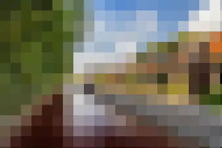 Hoogvlietsekerkweg 64 Hoogvliet Rotterdam thumbnail 6