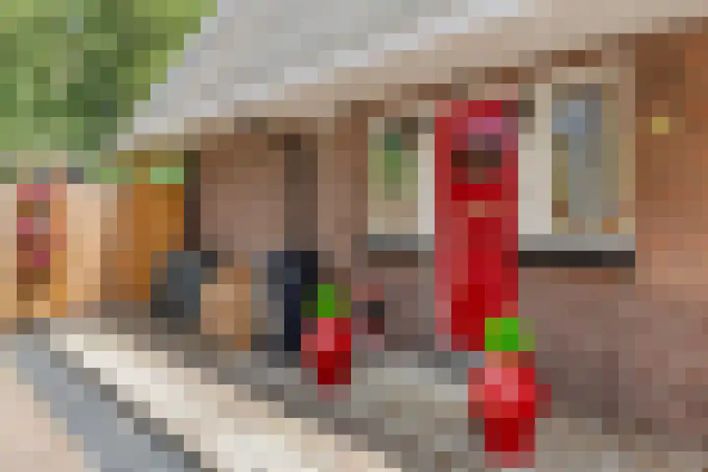 Hoogvlietsekerkweg 76 Hoogvliet Rotterdam thumbnail 4