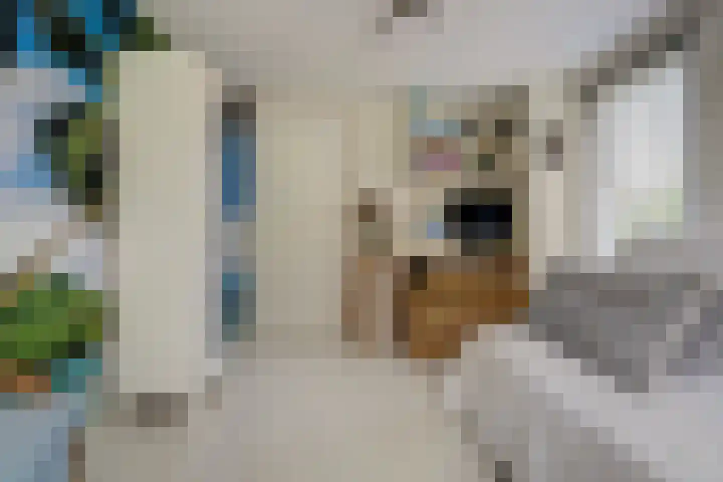 Hoogvlietsekerkweg 80 Hoogvliet Rotterdam thumbnail 24
