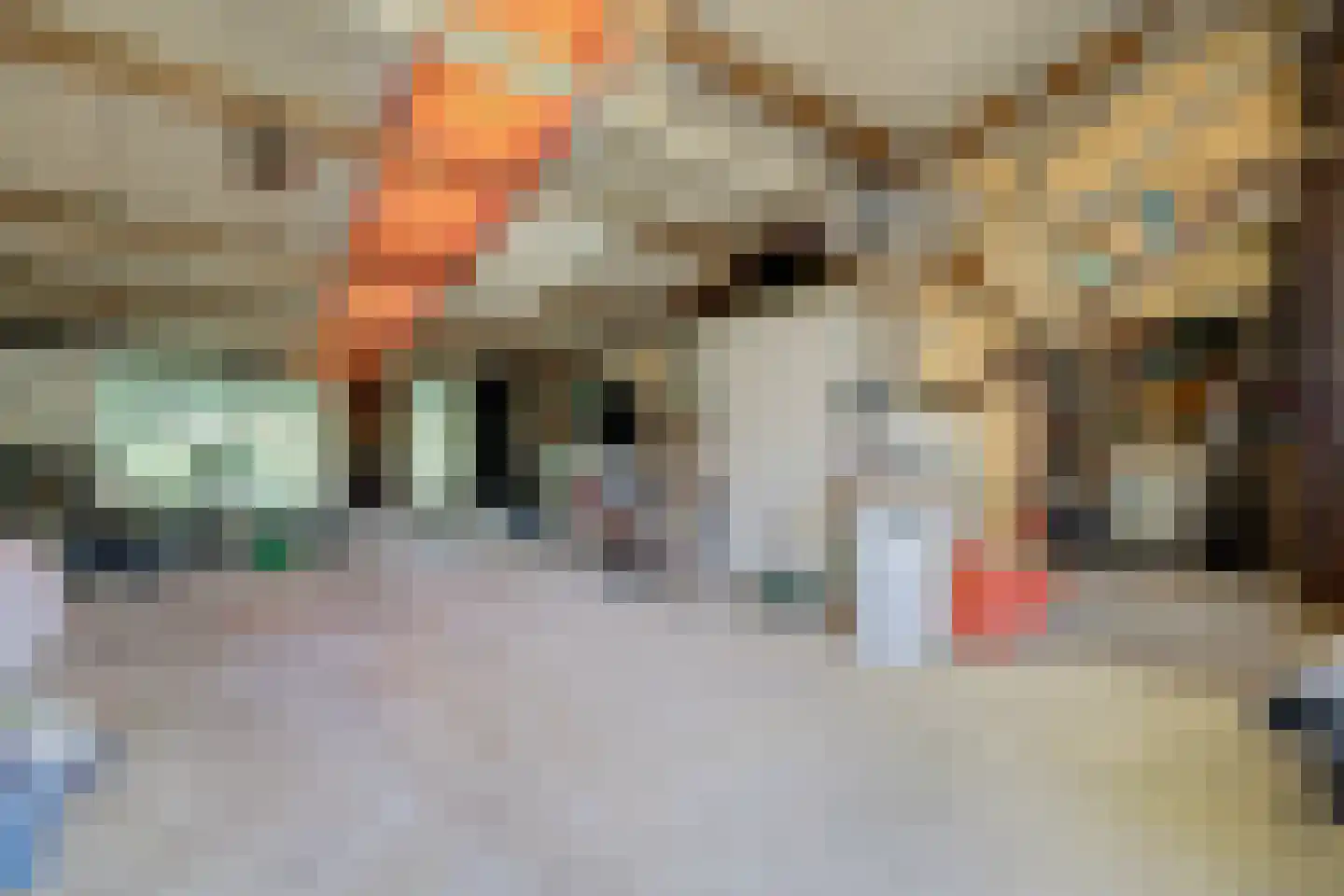 Hoogvlietsekerkweg 80 Hoogvliet Rotterdam thumbnail 29