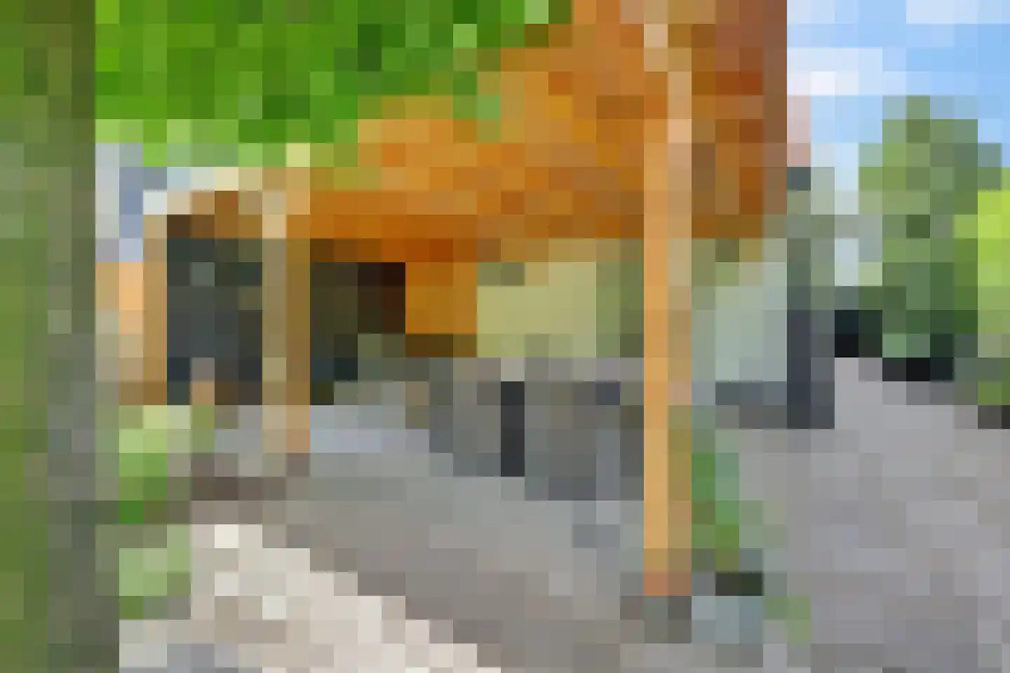 Hoogvlietsekerkweg 80 Hoogvliet Rotterdam thumbnail 33