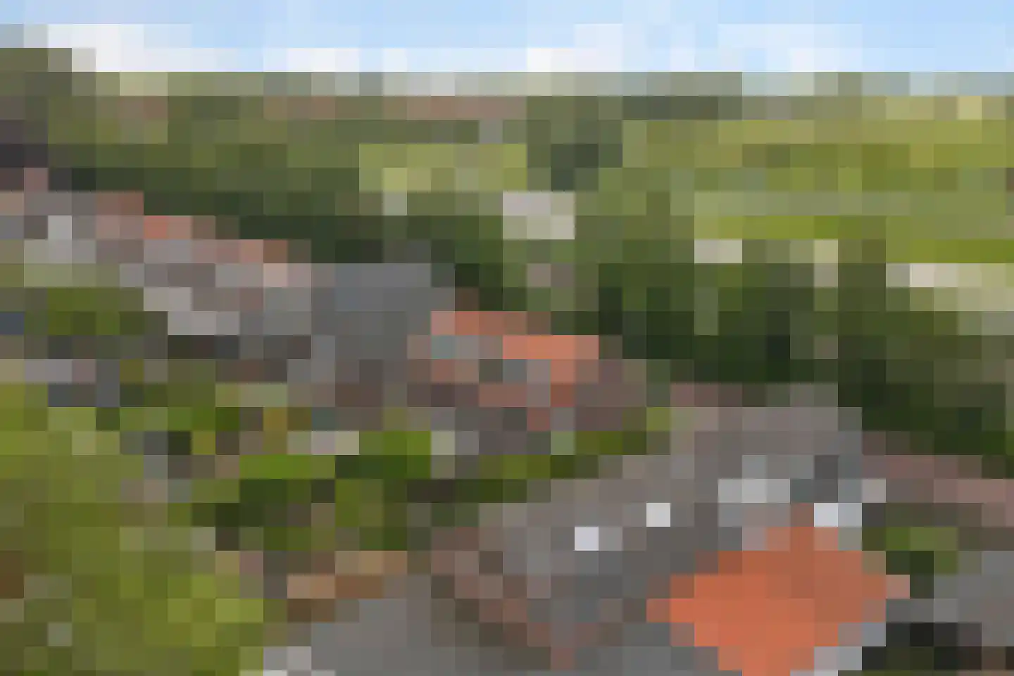 Hoogvlietsekerkweg 80 Hoogvliet Rotterdam thumbnail 47