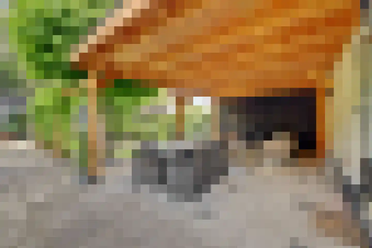 Hoogvlietsekerkweg 80 Hoogvliet Rotterdam thumbnail 5