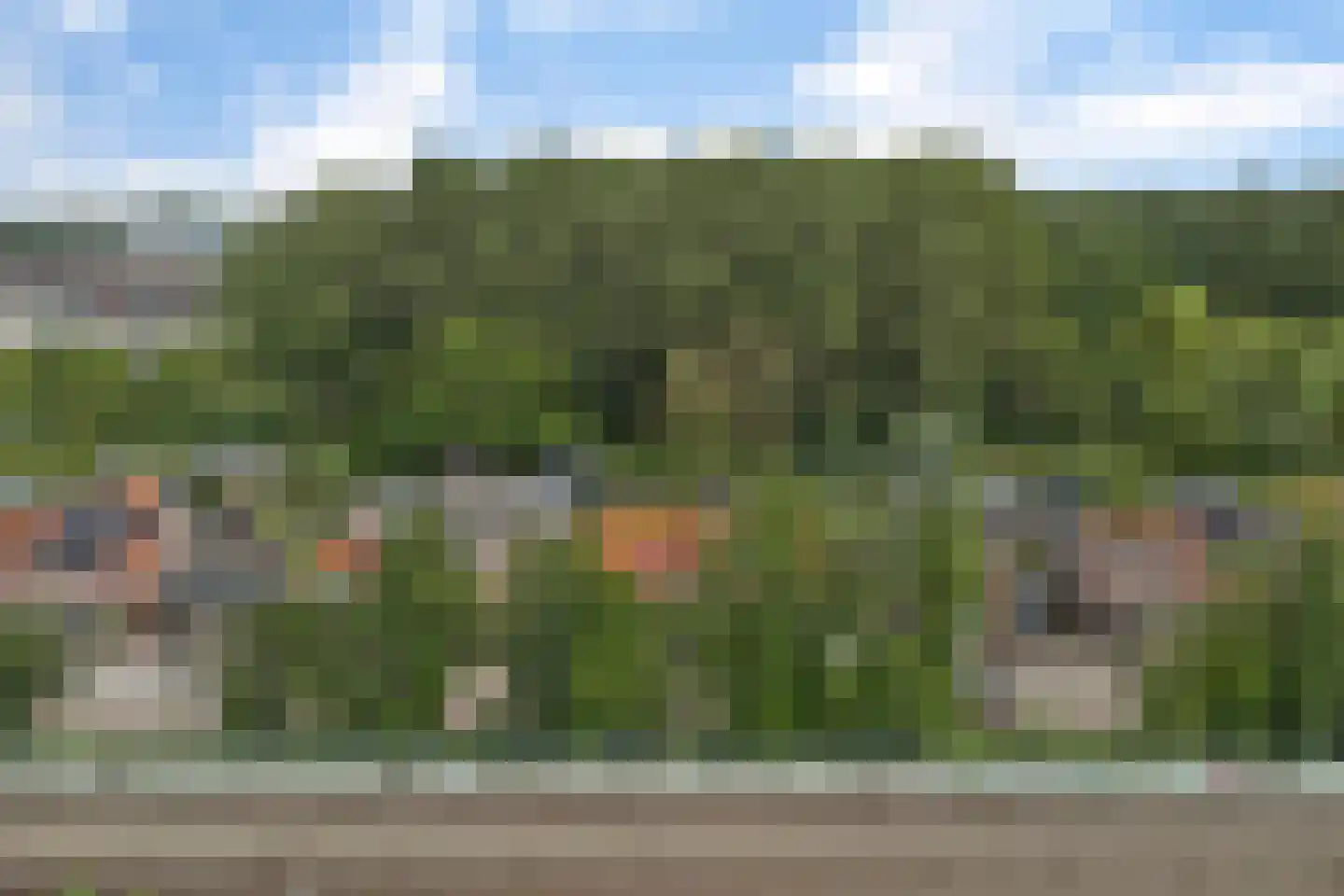 Hoogvlietsekerkweg 80 Hoogvliet Rotterdam thumbnail 51