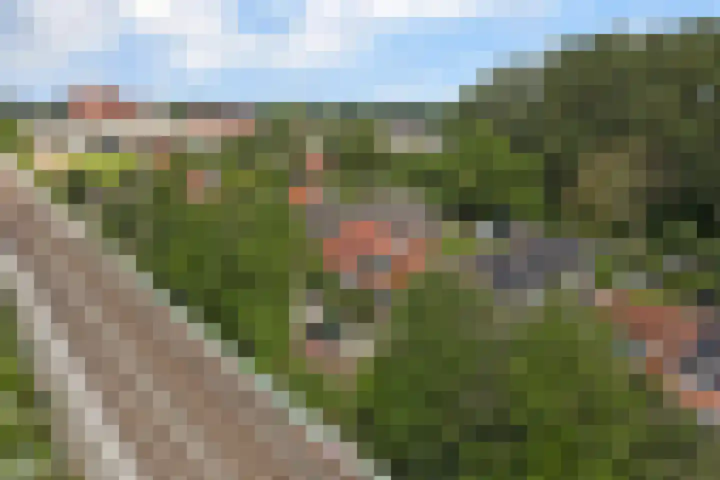 Hoogvlietsekerkweg 80 Hoogvliet Rotterdam thumbnail 52