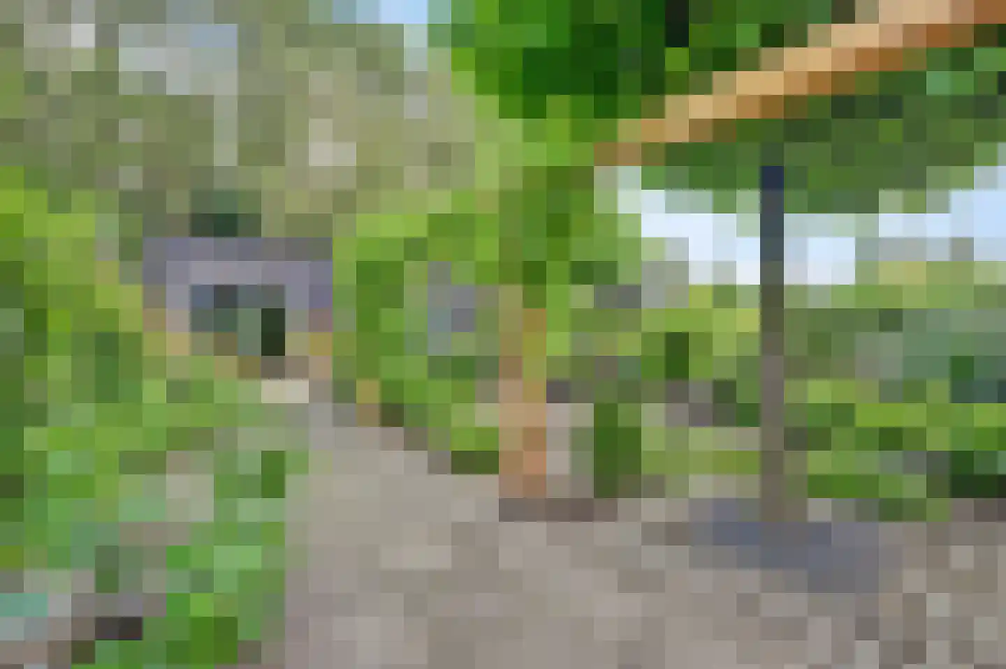 Hoogvlietsekerkweg 80 Hoogvliet Rotterdam thumbnail 6