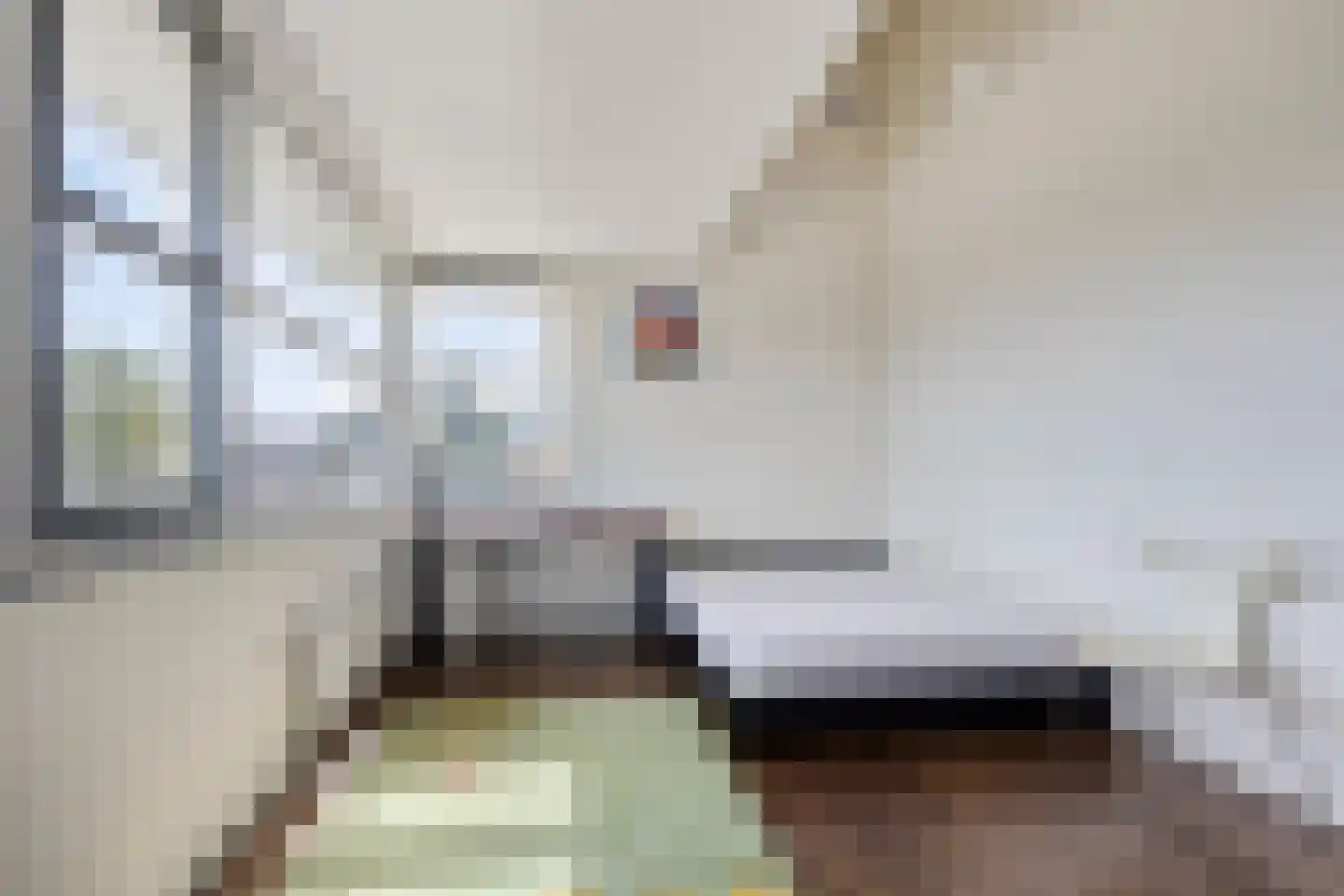 Hoogvlietstraat 6 Zoetermeer thumbnail 30