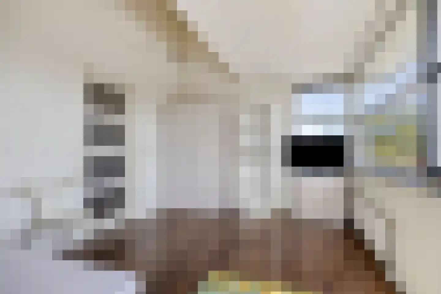 Hoogvlietstraat 6 Zoetermeer thumbnail 31