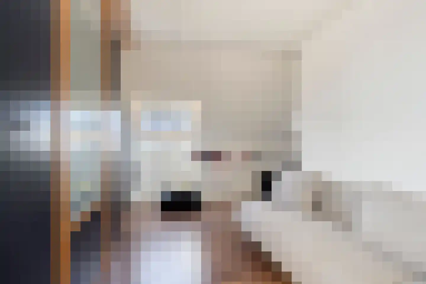 Hoogvlietstraat 6 Zoetermeer thumbnail 32