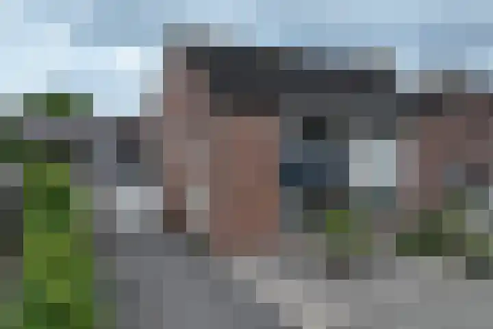 Hoogvogelstraat 8 IJzendijke thumbnail 22