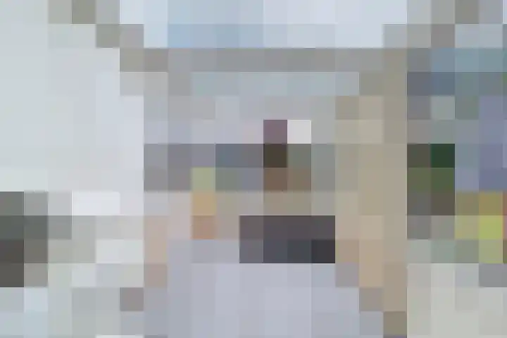 Hoogvogelstraat 8 IJzendijke thumbnail 5