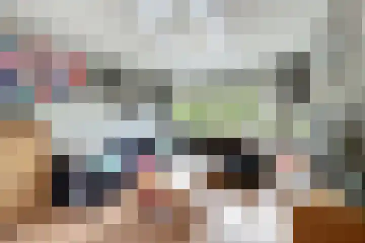 Hoogvogelstraat 8 IJzendijke thumbnail 6