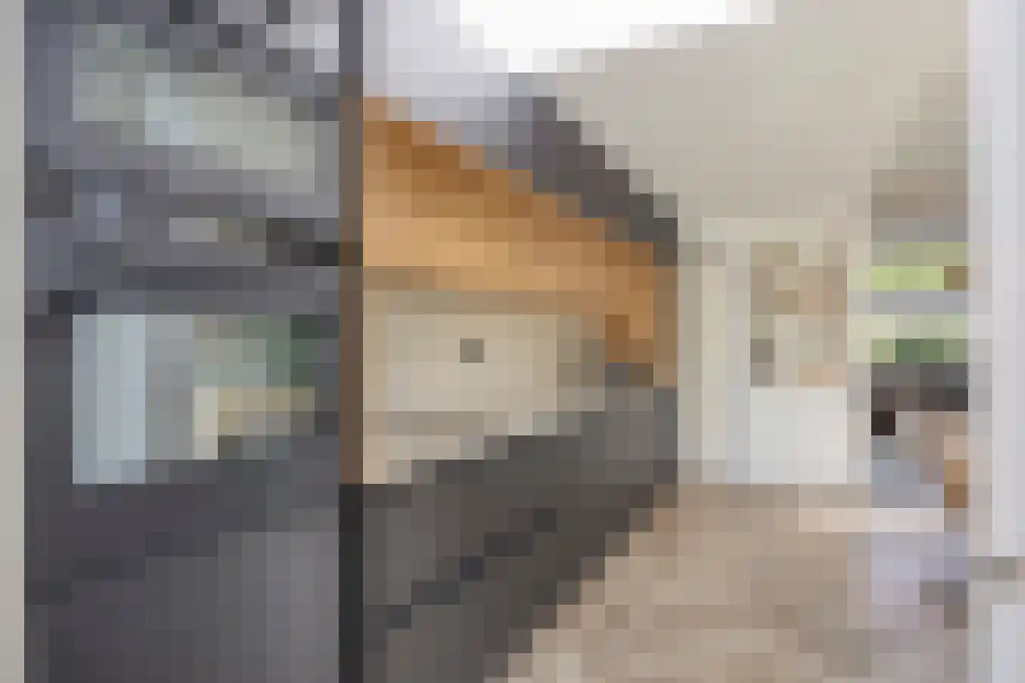 Hoogweg 18 De Lier thumbnail 13