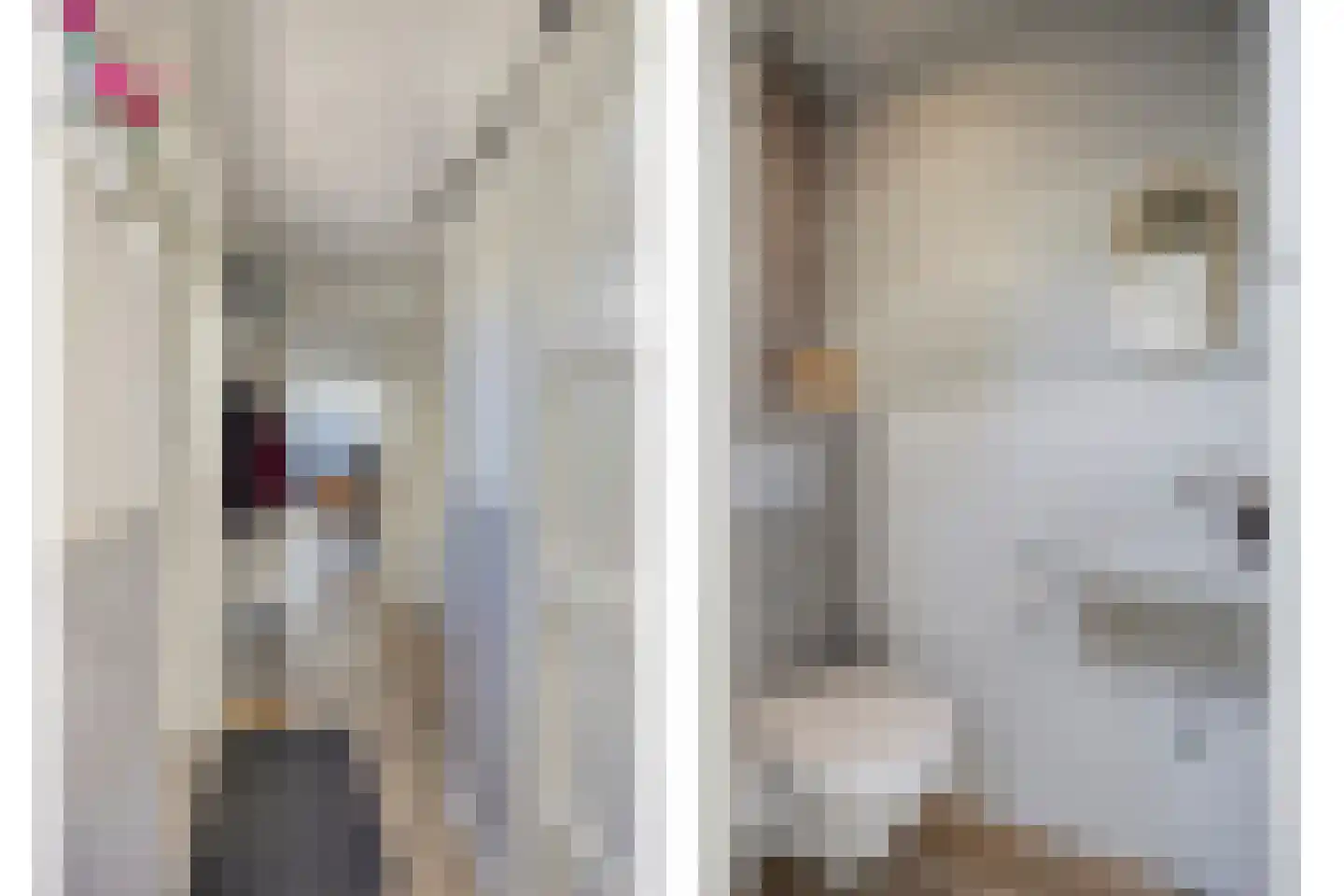 Hoogweg 18 De Lier thumbnail 17
