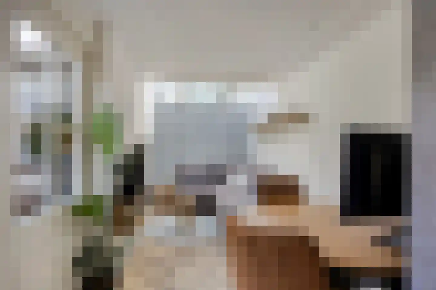 Hoogweg 18 De Lier thumbnail 18
