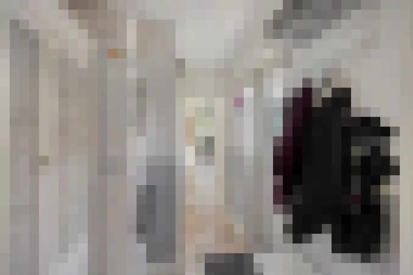 Hoogweg 18 De Lier thumbnail 19