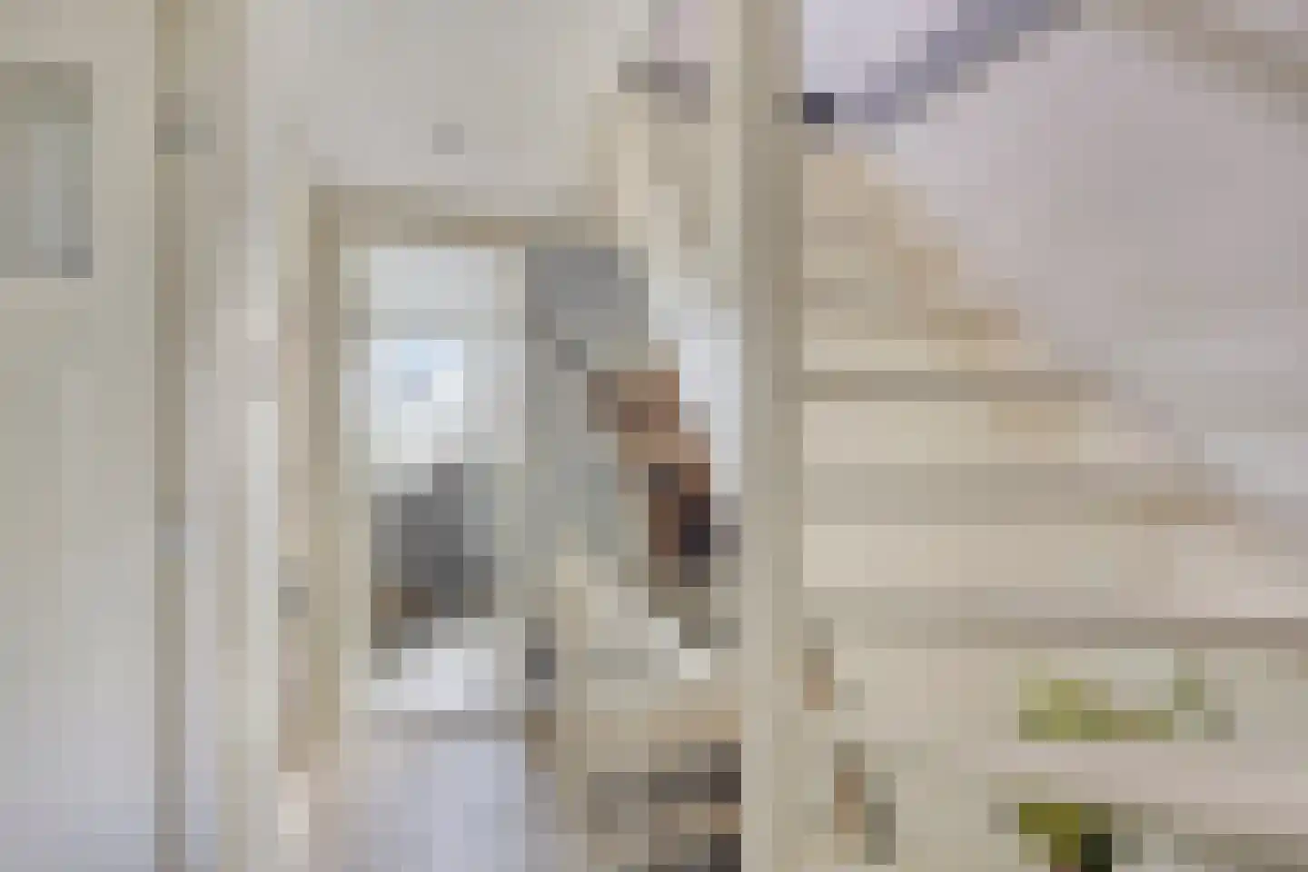 Hoogweg 18 De Lier thumbnail 20