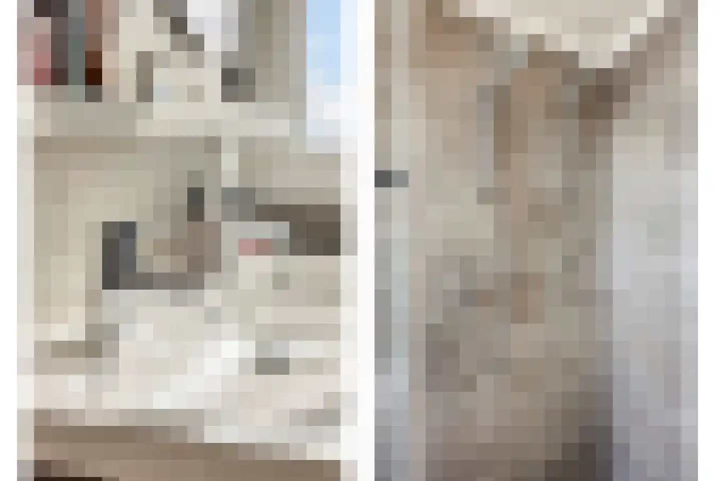 Hoogweg 18 De Lier thumbnail 23