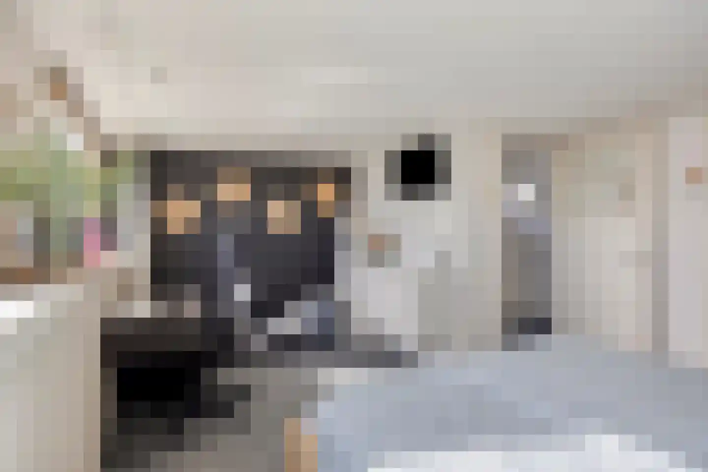 Hoogweg 18 De Lier thumbnail 30